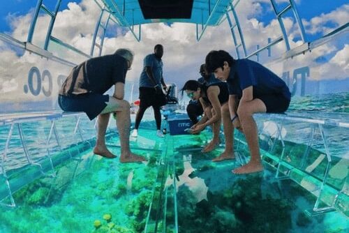 clear-boat-tour